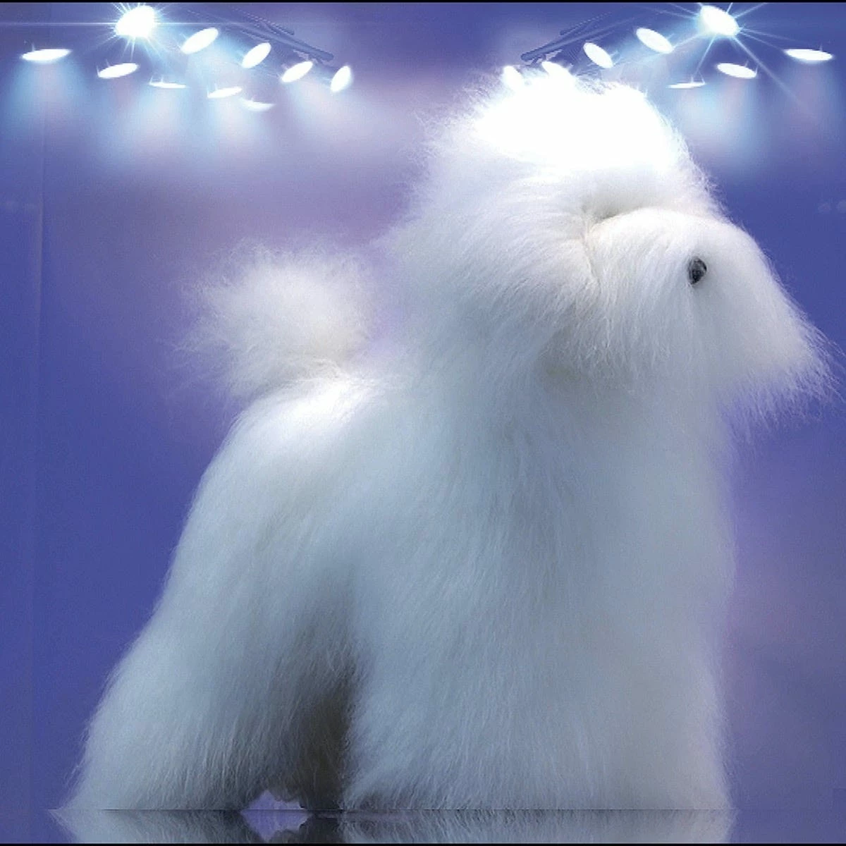 Artero Bichon Dog Model And Fur Kit - Image 6