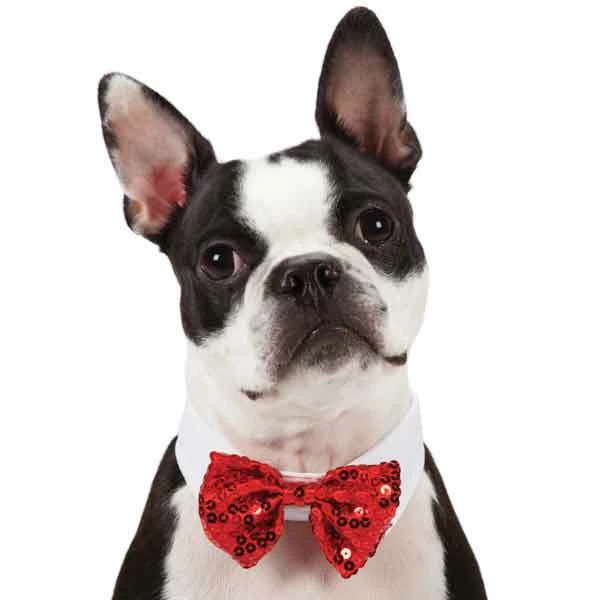 Aria Red And Black Bowtie Clip Strips 12-Piece - Image 3