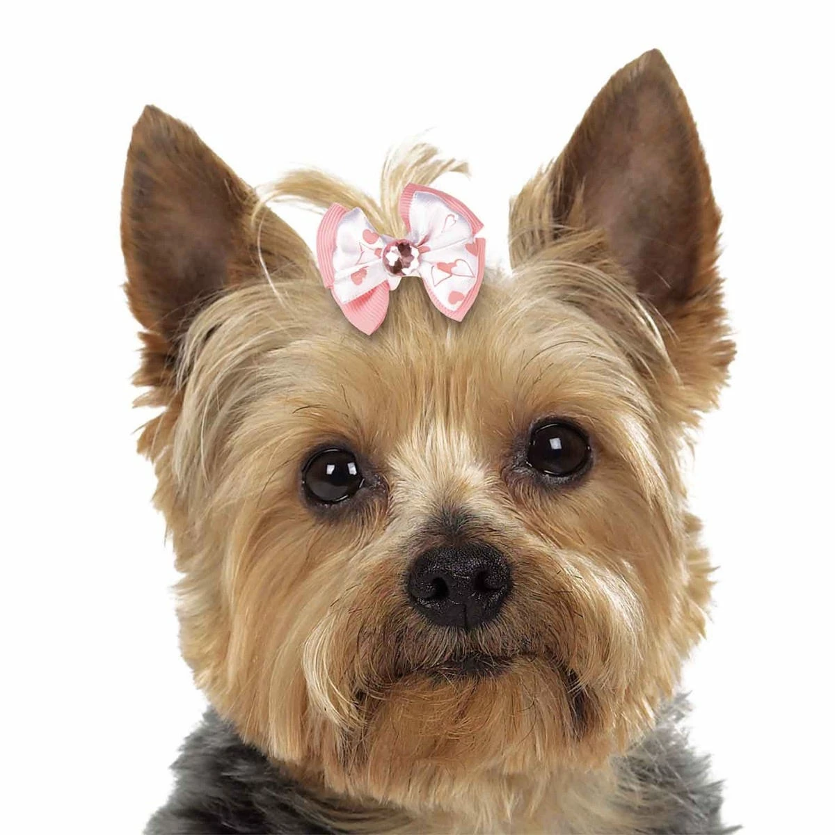 Aria Molly Bows Canister 45 Pc - Image 3