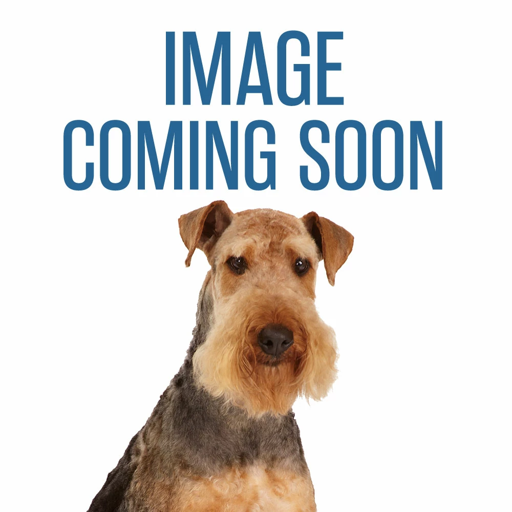 IGroom Magic Powder - Image 4