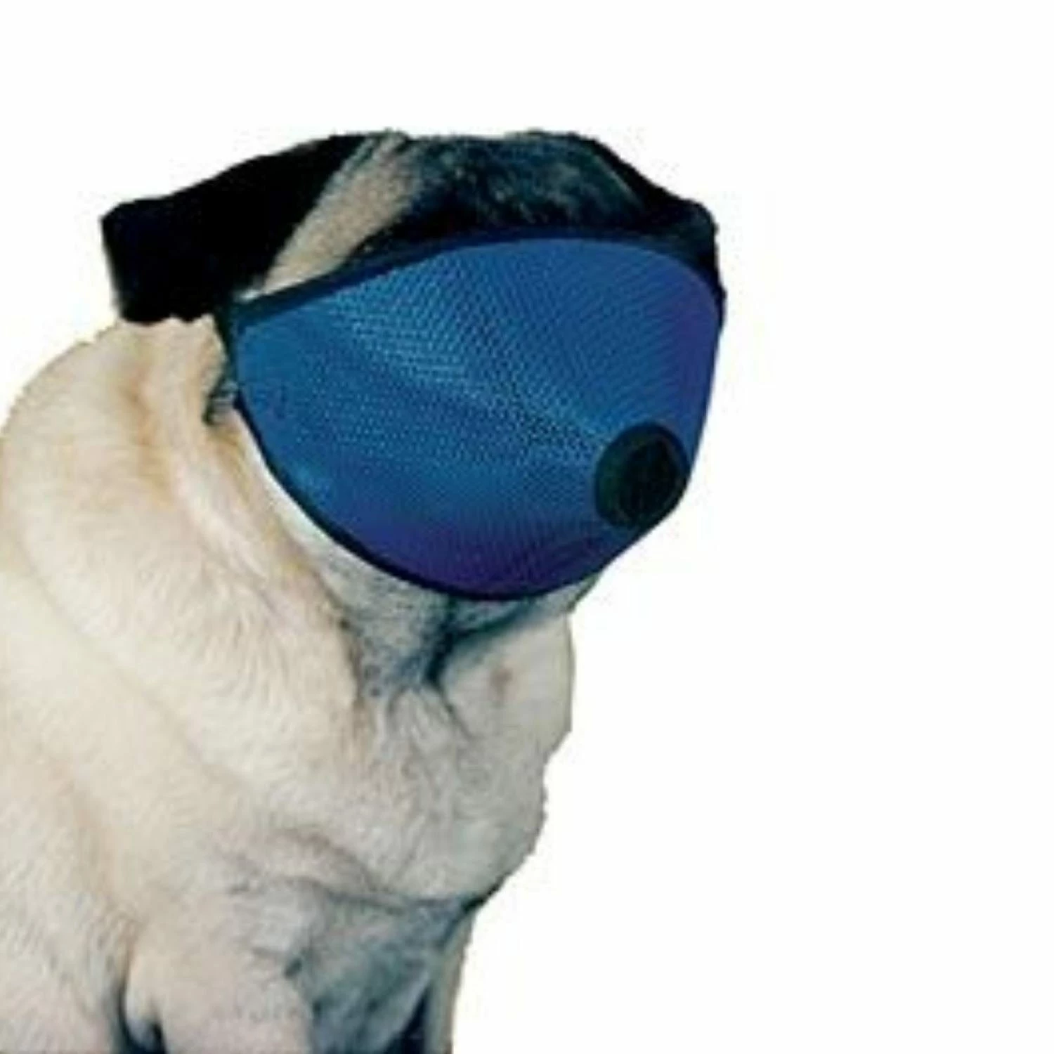 Short Nose Muzzle - Image 2