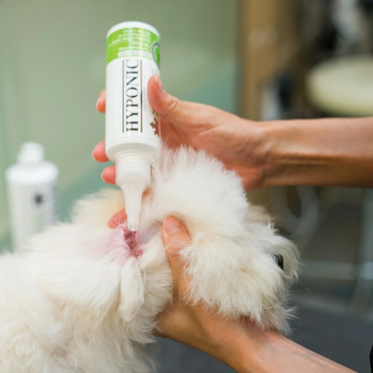 Hyponic Hinoki Cypress Ear Cleaner 16.9 Oz - Image 7