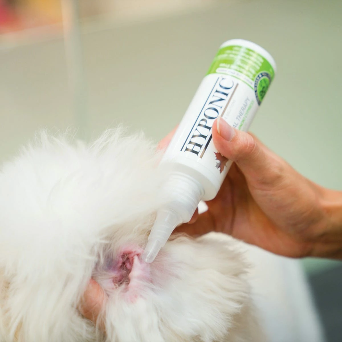 Hyponic Hinoki Cypress Ear Cleaner 16.9 Oz - Image 4